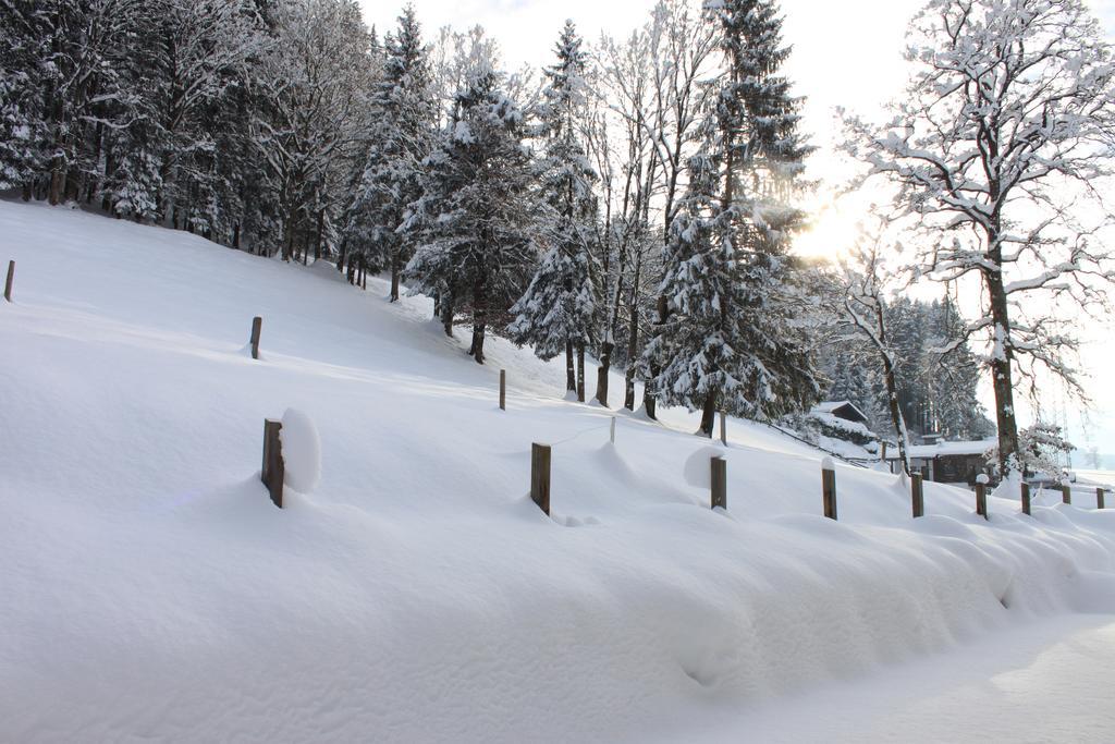 Apartment Am Birkenweg Oberndorf in Tirol Szoba fotó
